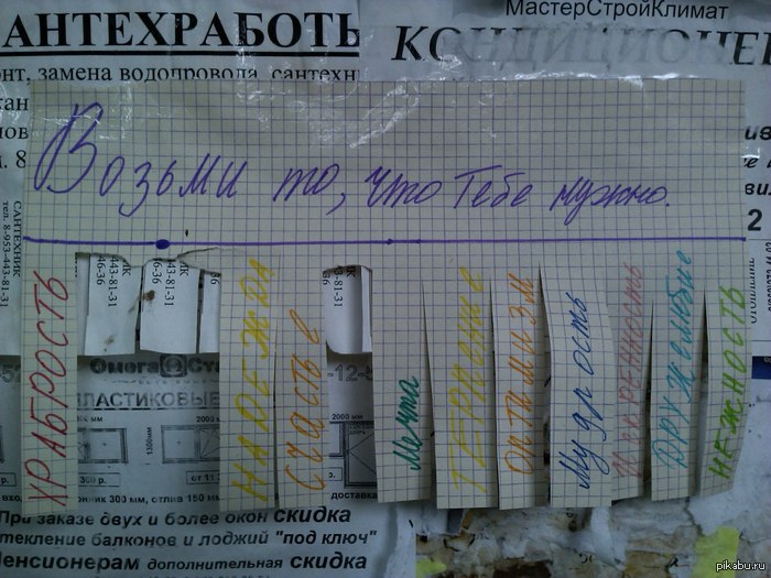 ������ ��, ��� ���� �����