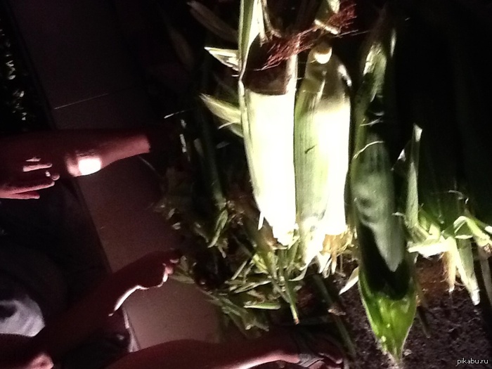 ��������..��� ����� ��������...