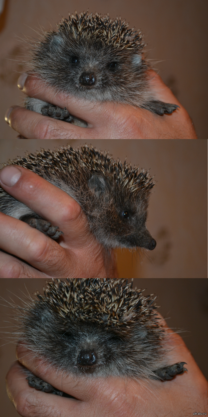 ���� ������!!!)))