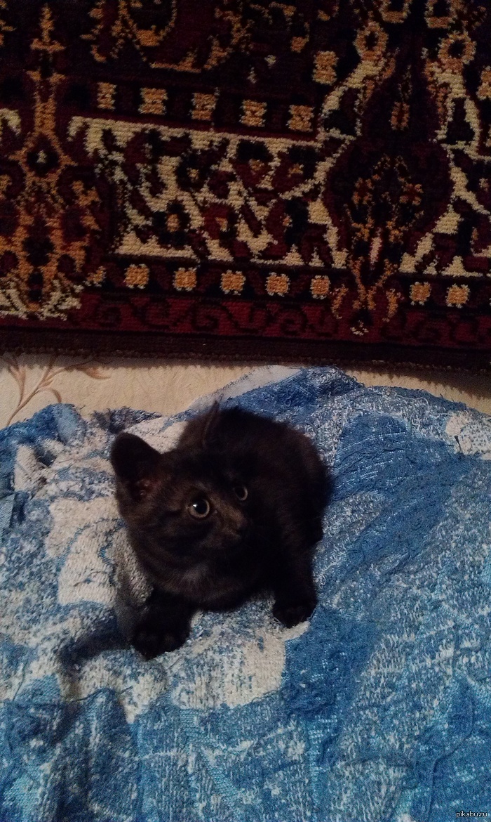 как назвать?