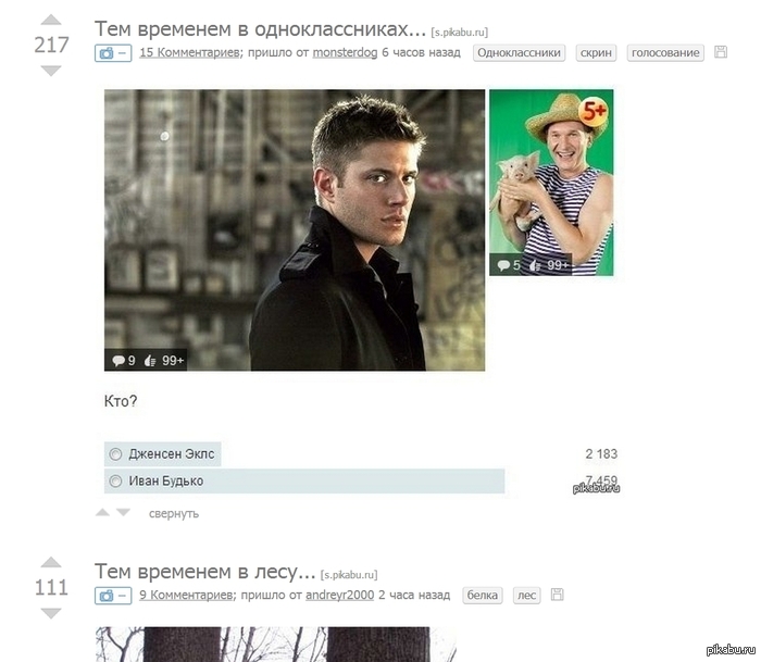 ��� �������� �� pikabu.ru