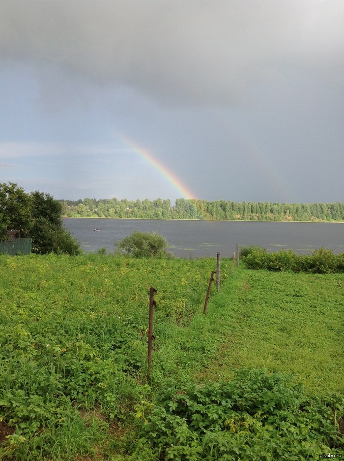 ������ ������