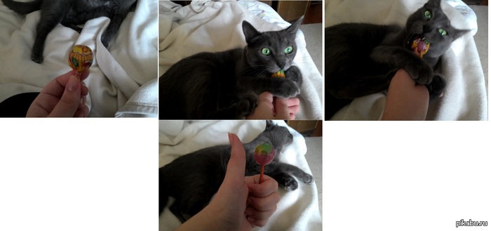 ������� ����� �������-�� ����� ���������!