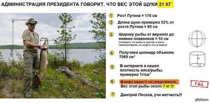 ��������� ���� � "��������" ���������� ��������