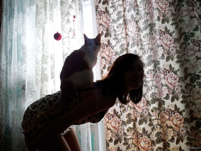 Котовье доминирование