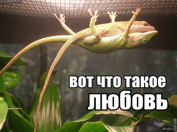 ..