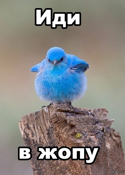 ����� ������ ����������� ������