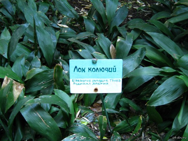 Как-то так...