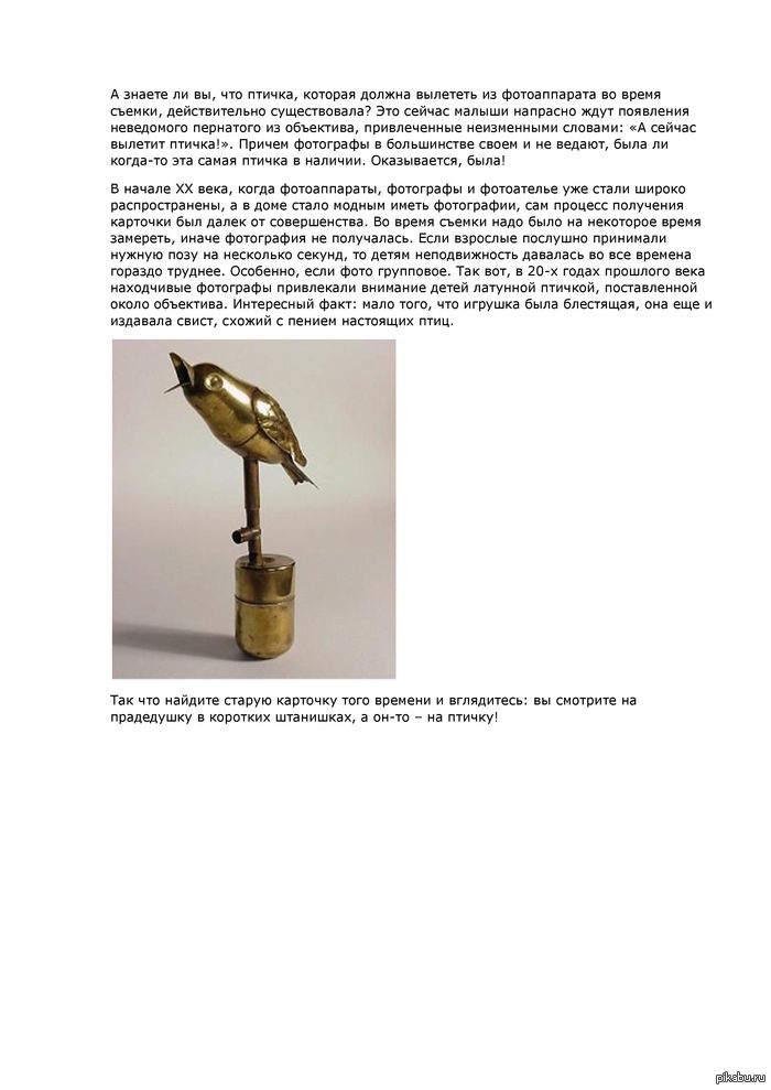 Сейчас вылетит птичка!!!