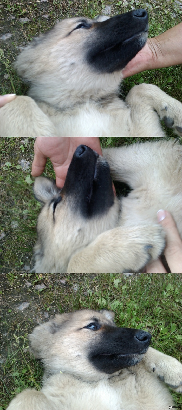    !        - ,  3-4 ,  !