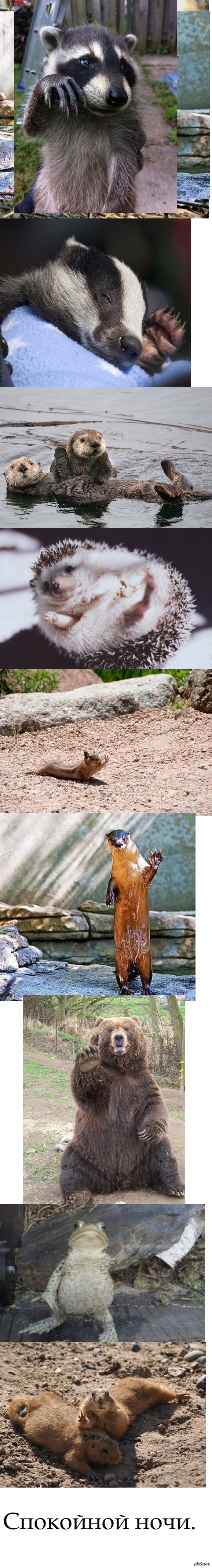 До завтра. Всем пока...