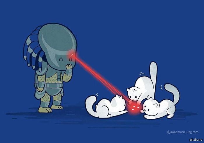 И снова котики!