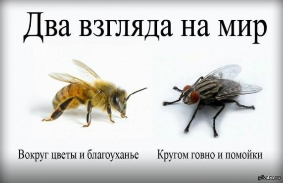https://cs.pikabu.ru/post_img/2013/08/02/5/1375421692_2045193094.jpg