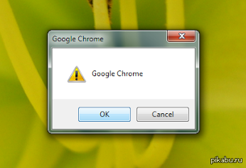 +Google Chrome 