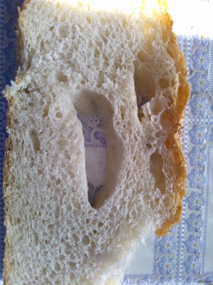 ���� ����