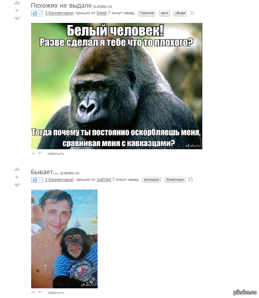 Пикабушные совпадения