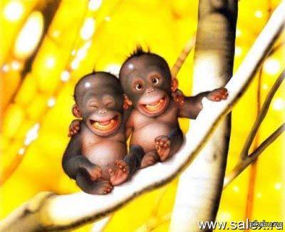 ������ ��������.... :)