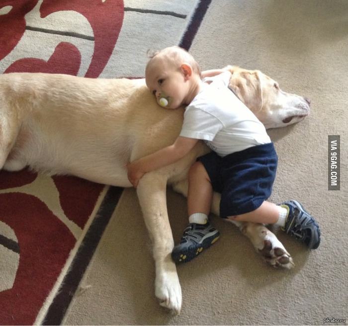  ,      .     ,   .   9gag.   .