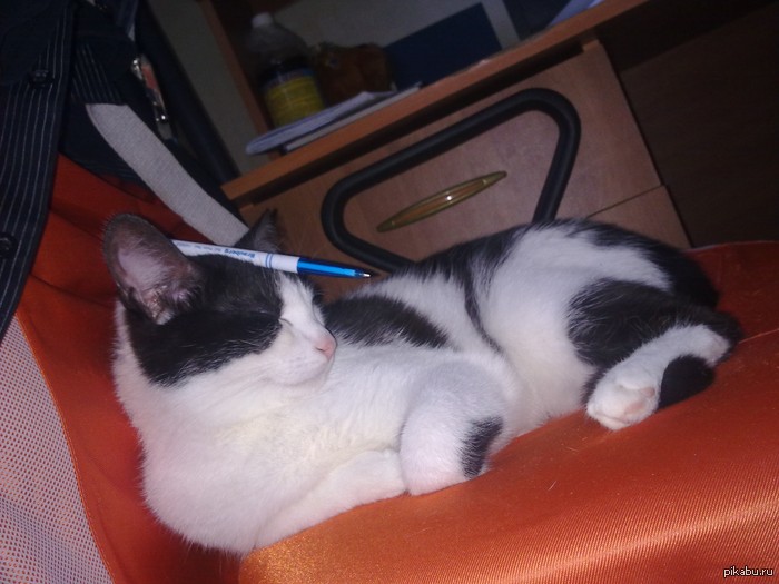 ������� �����������)