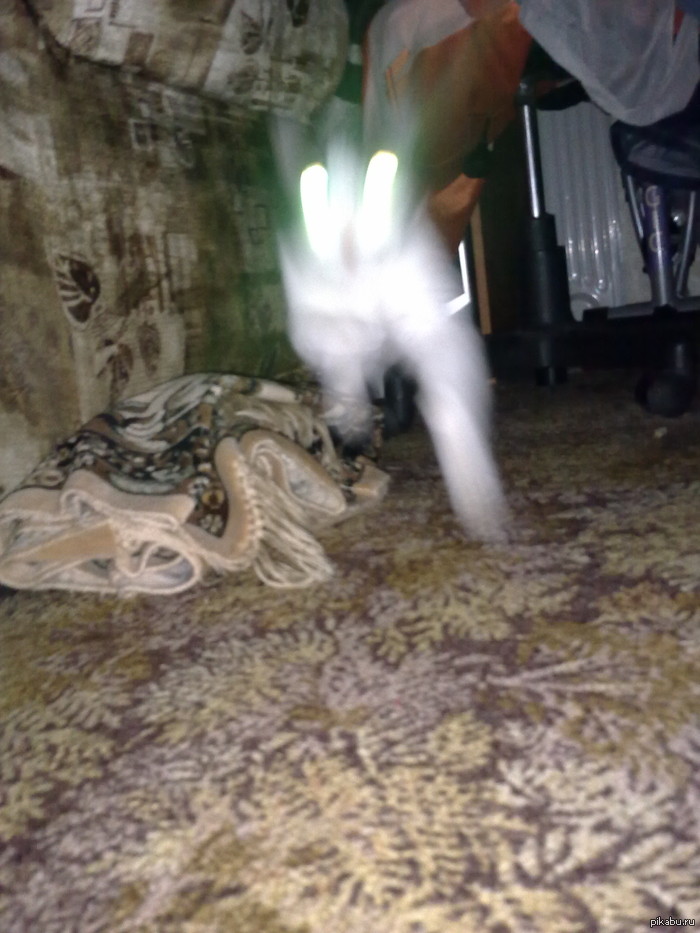 ����� �������� ����))