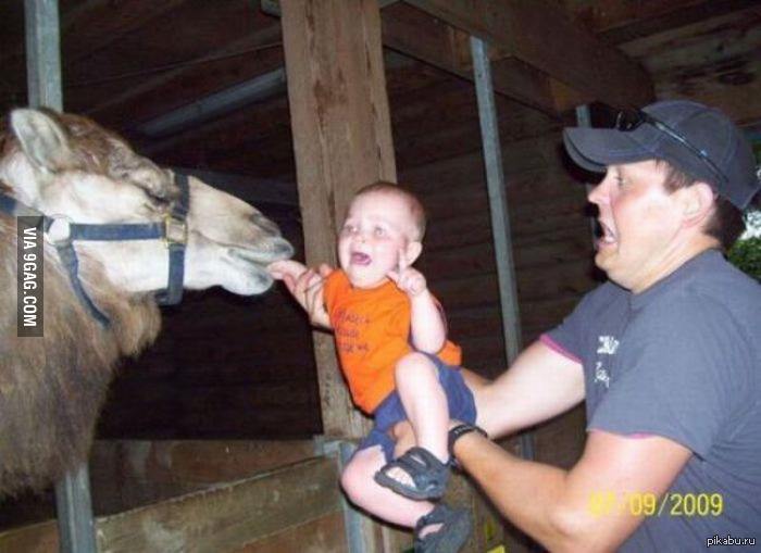 �������-������� 1:0