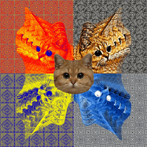 1375632569_1303128101.gif