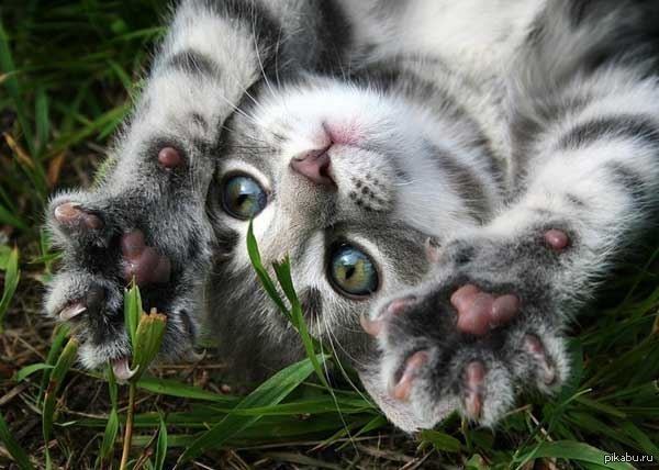 Помогите советом!