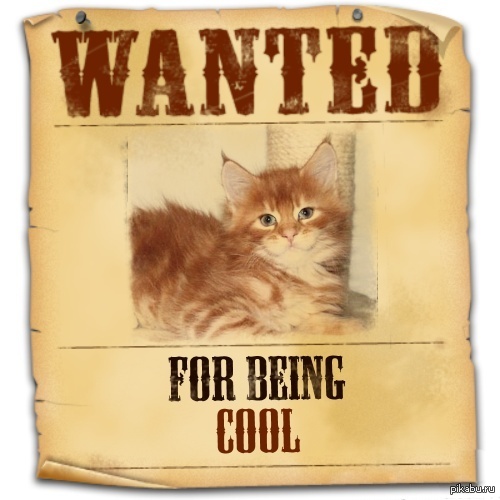 ������������� ����� ������� ������ ����-���, �������� ������� ������ ������ � ������ ����.