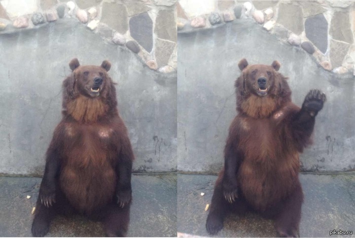 ��������� ��� �� ��� � ��������..