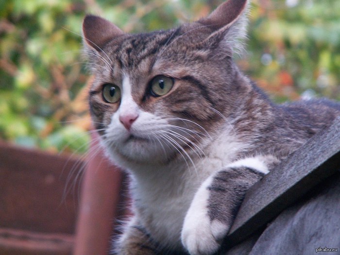 ��������������� ������ ����, ���� ��� ������� �� ������.