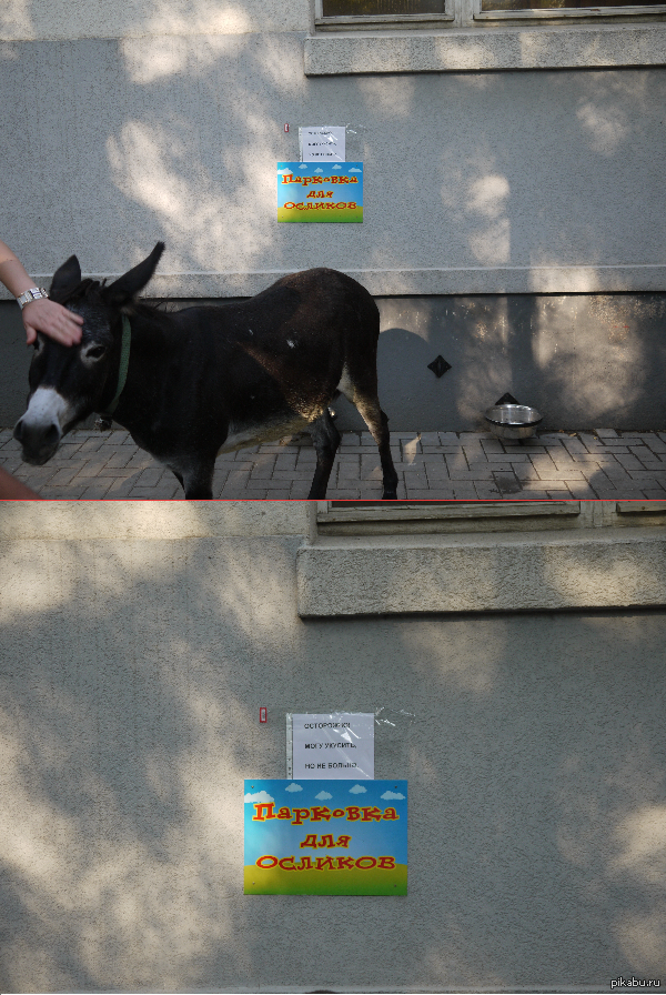 Были вчера в "трогательном зоопарке"