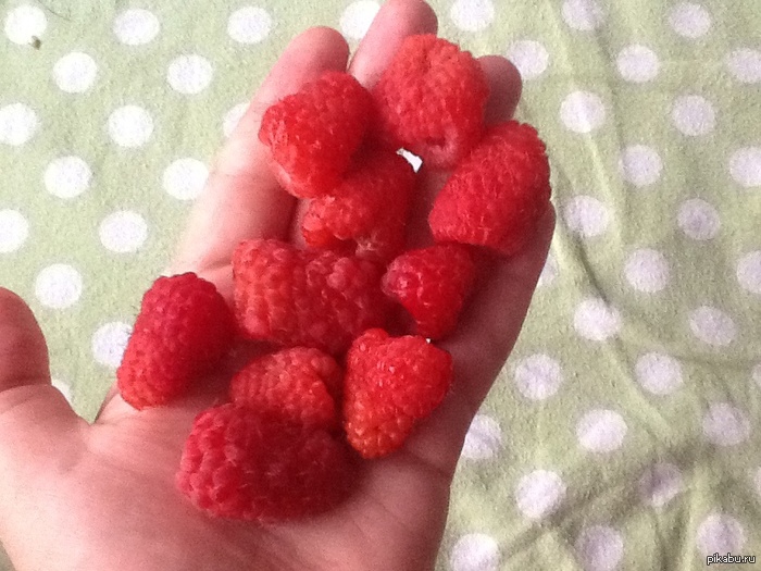 ��� ����� � ��� ������! ���� ���������!