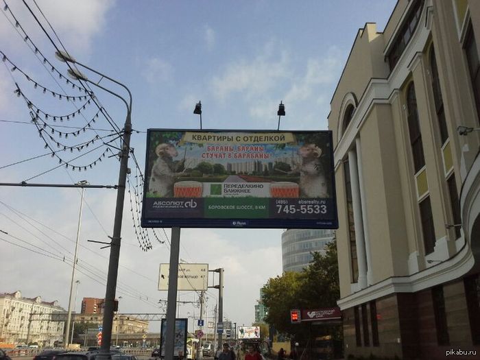 Бараны, бараны Стучат в барабаны!