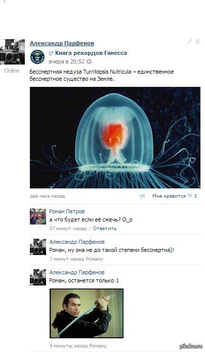 ��������� ������ ����