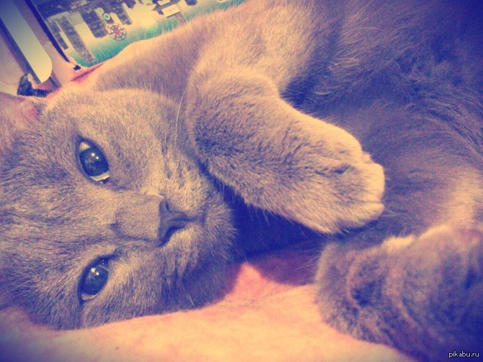  :3 