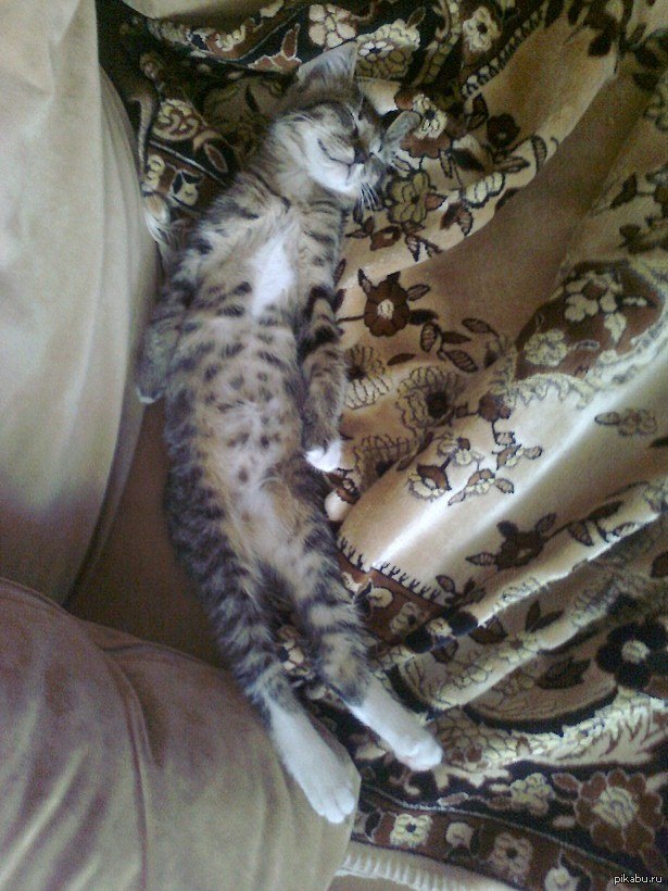 ����� ��� ��� �����))