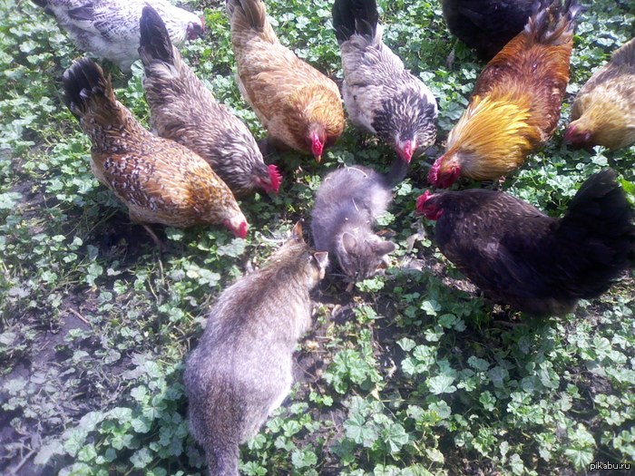 �� � ��� ����� �����