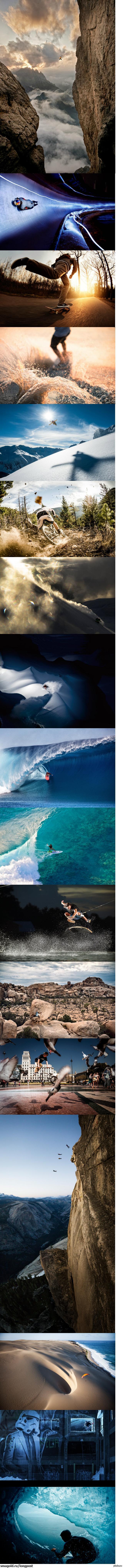     Red Bull ()( 1) 