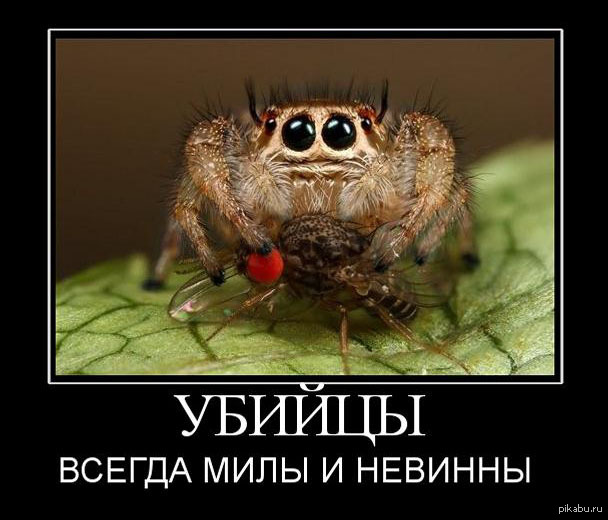 Заблуждение