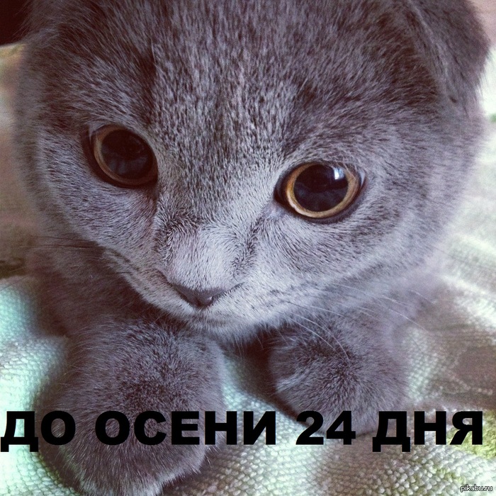 ������� � ����