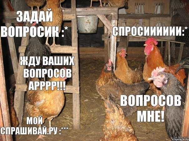 ,      : "    "