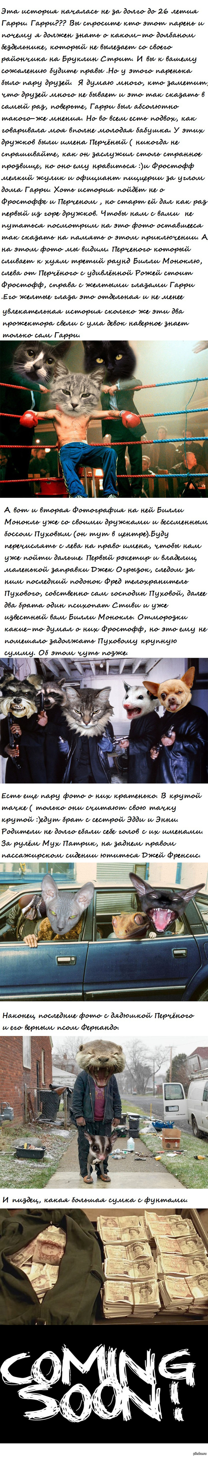()         :)        ,   :)   .     :(   !!!   !     .