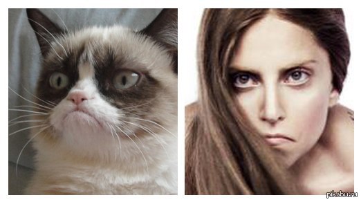 �� �� ��� � ��� �� �� ����� Lady Gaga �������� ���