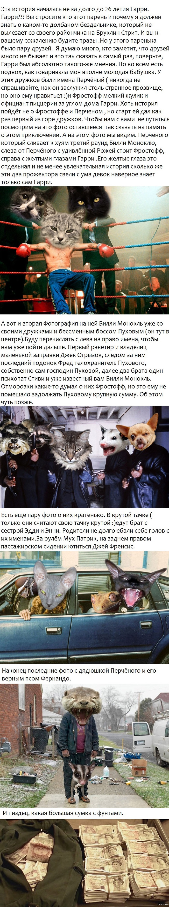 (  )         :)        ,   :)   .  :(  !!!   !     .