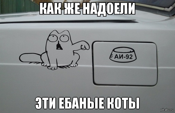 ������������ ��� �����