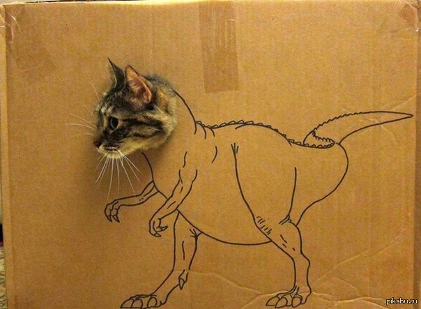 Котозавр | Пикабу