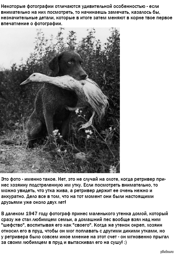 Первое впечатление может быть обманчиво.