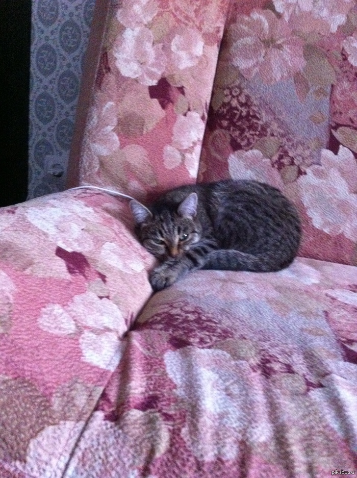 ����������)