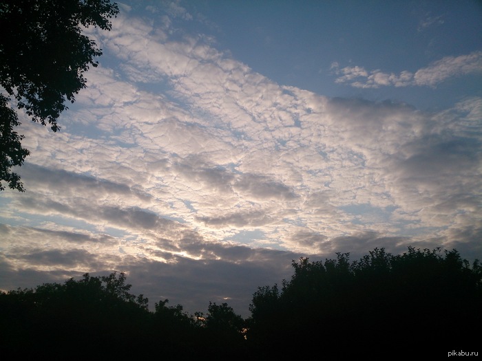 ������. 8 ����