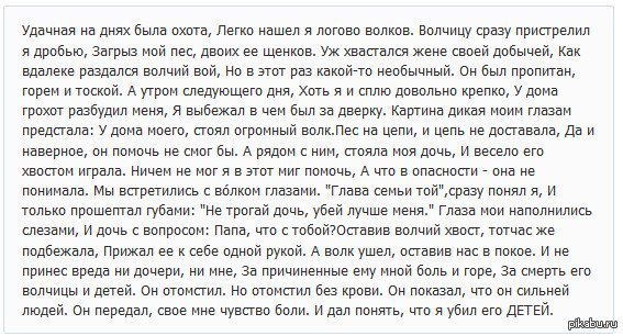 Папа потрогал дочку. Стих удачная на днях была охота. Удачная в тот день была охота стих. Удачная на днях была охота легко. Волк отомстил но отомстил без крови.
